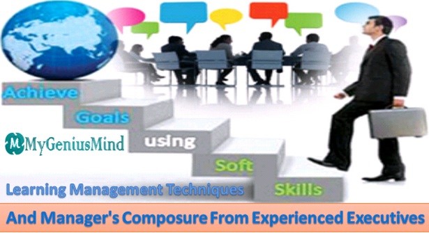 Learning Management Techniques And Managers Composure From Experienced Executives